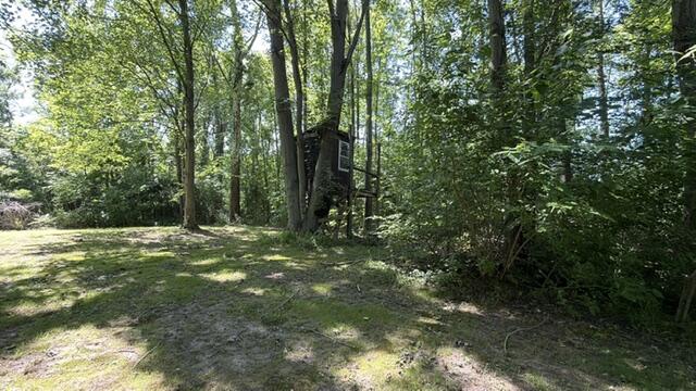 4084 Hartman Road Sodus, MI 49126 - Photo 49 of 62 Gallery Image 49