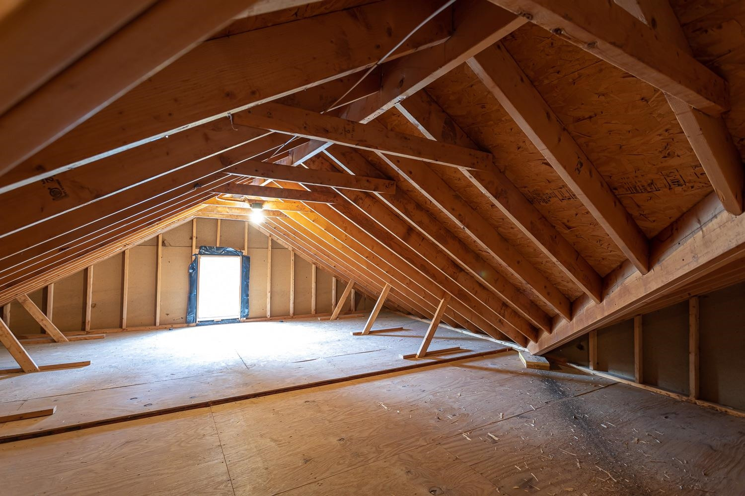 8669 Harps Mill Road Raleigh, NC 27615 - Photo 11 of 13 The WALK IN ATTIC is absolutely HUGE! Perfect for future all your storage needs or expansion -the possibilities are endless - you decide. Walk In Attic