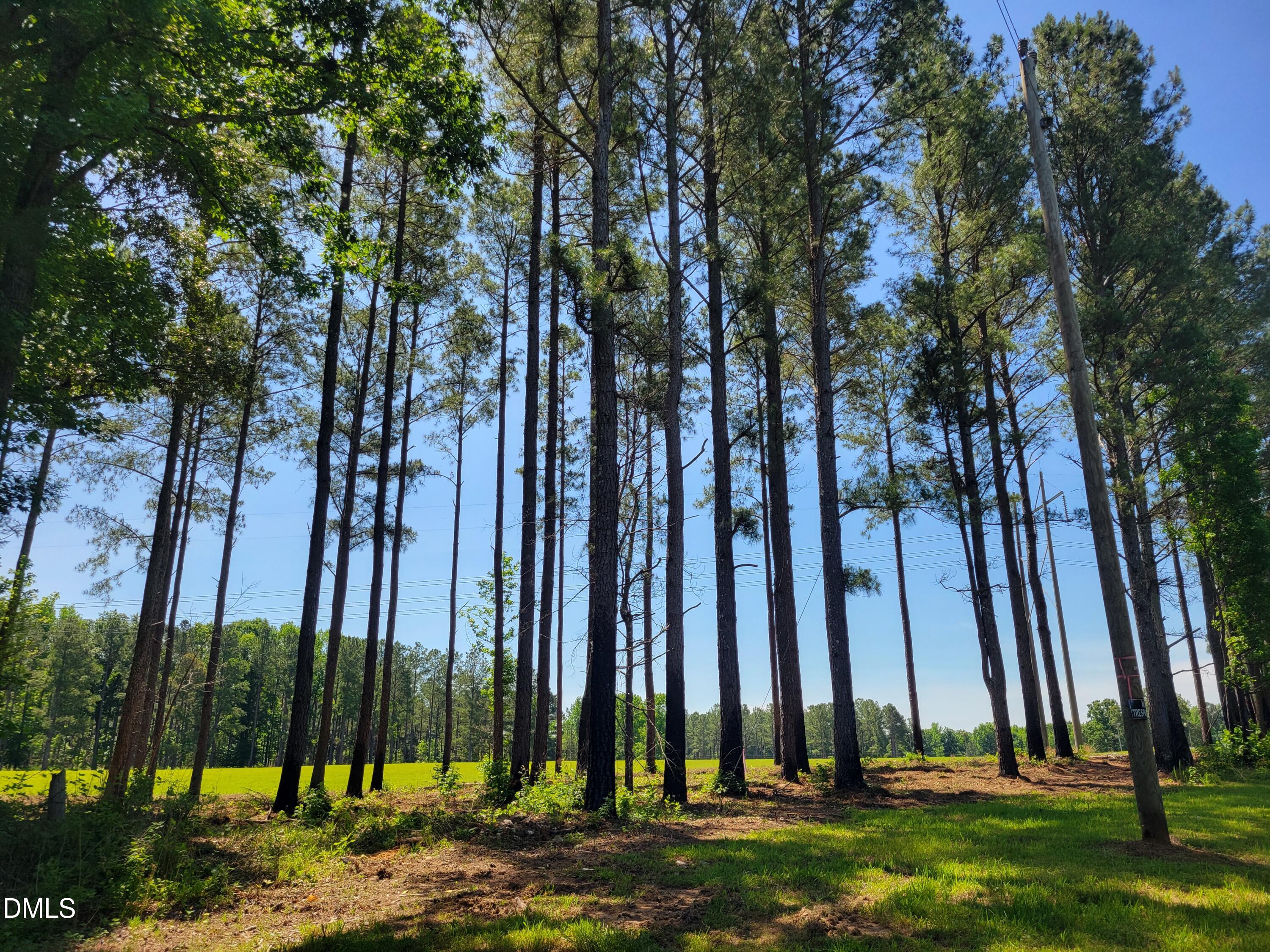 0 Hicks Farm Road Staley, NC 27355 - Photo 26 of 30 20260529_112123
