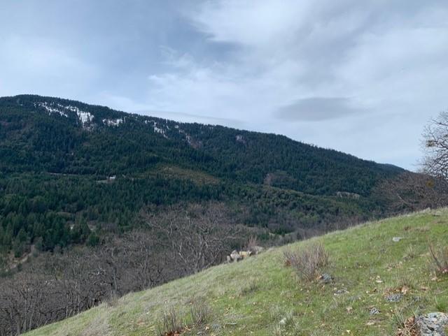 500 Conifer Way Ashland, OR 97520 - Photo 8 of 11 higher up
