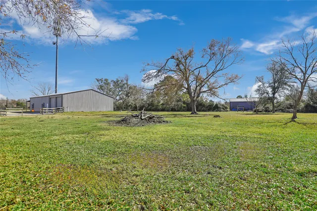 a view of yard with tree