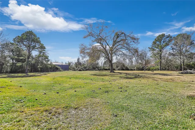 a view of yard with tree s
