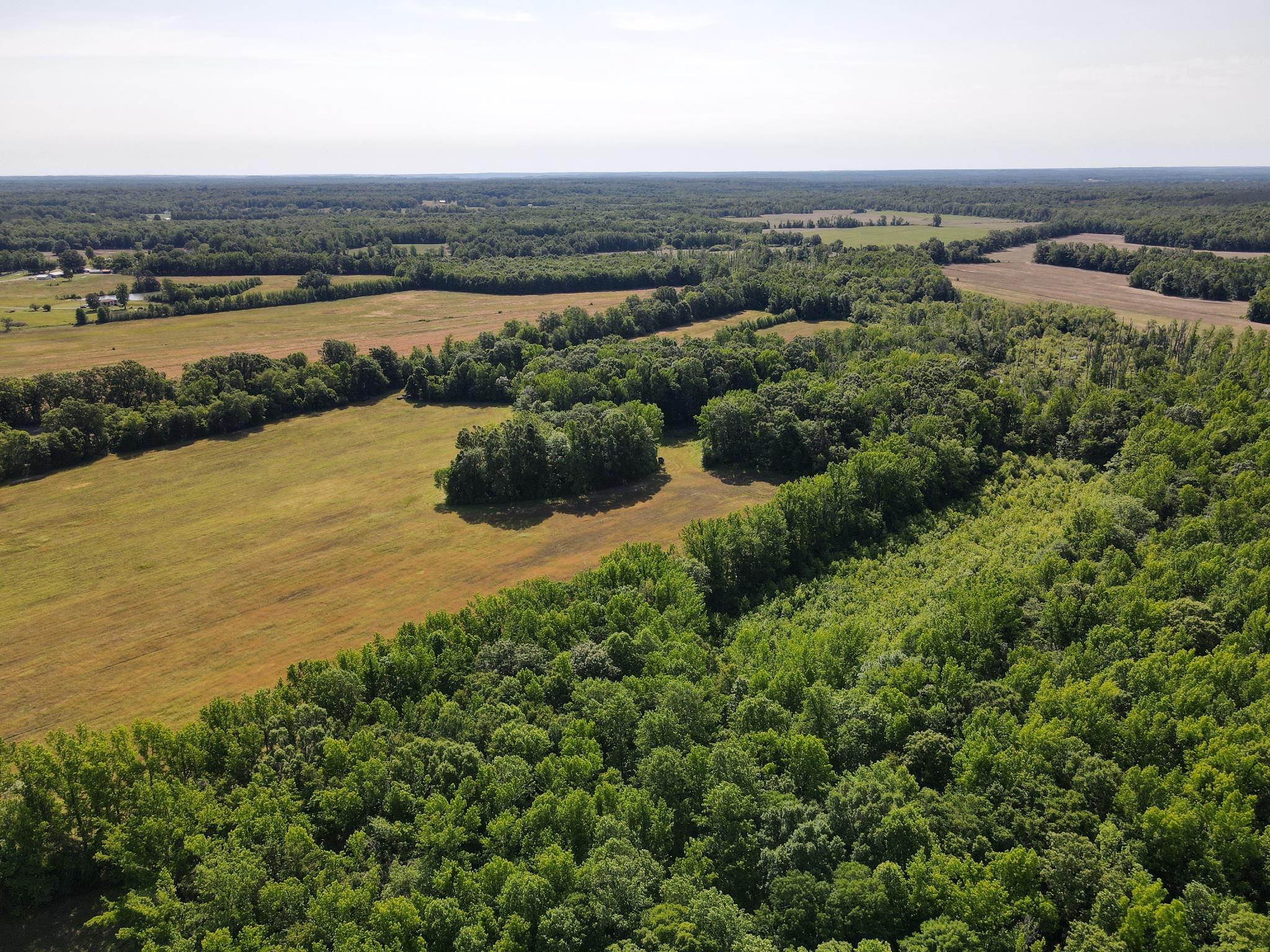 1 Carter Road Saltillo, TN 38370 - Photo 13 of 40 an aerial view of ocean and residential houses with outdoor space