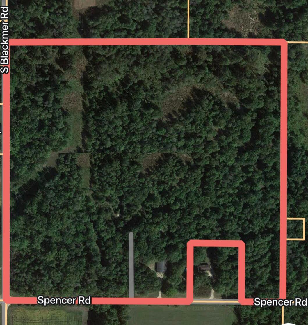10051 Spencer Road Crystal, MI 48818 - Photo 22 of 39 Untitled design (1)