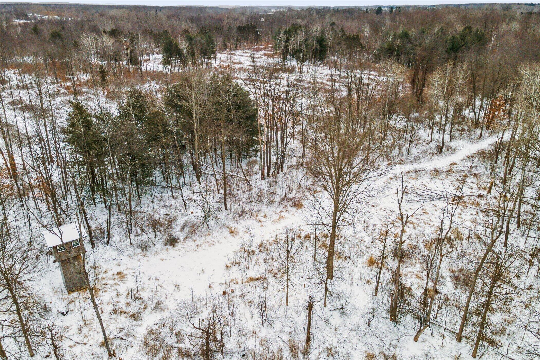 10051 Spencer Road Crystal, MI 48818 - Photo 24 of 39 20-10051-Spencer-Rd-Crystal-MI-48818-Win