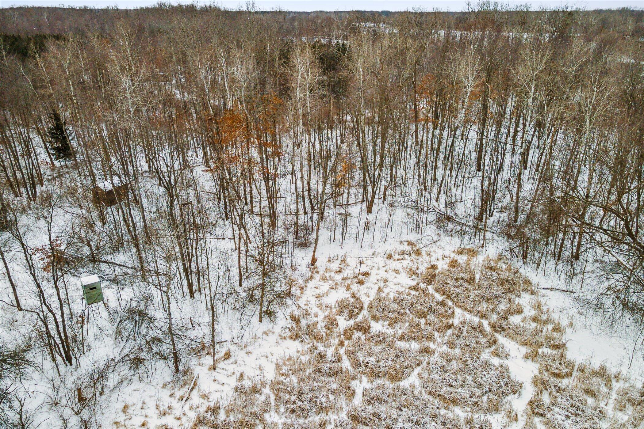 10051 Spencer Road Crystal, MI 48818 - Photo 33 of 39 21-10051-Spencer-Rd-Crystal-MI-48818-Win