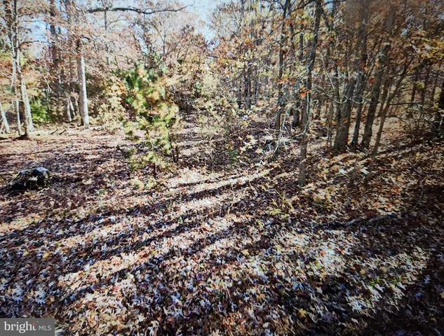 $10,900 | 1 Buckingham Terrace, Vineland, NJ 08360