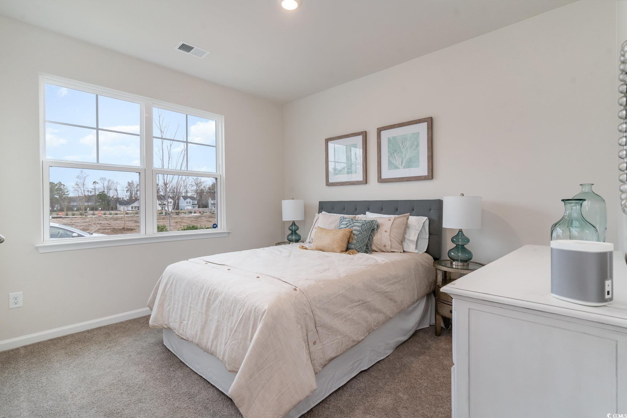 156 Cottage Red Court Conway, SC 29527 - Photo 19 of 37 Bedroom featuring carpet flooring and recessed lighting