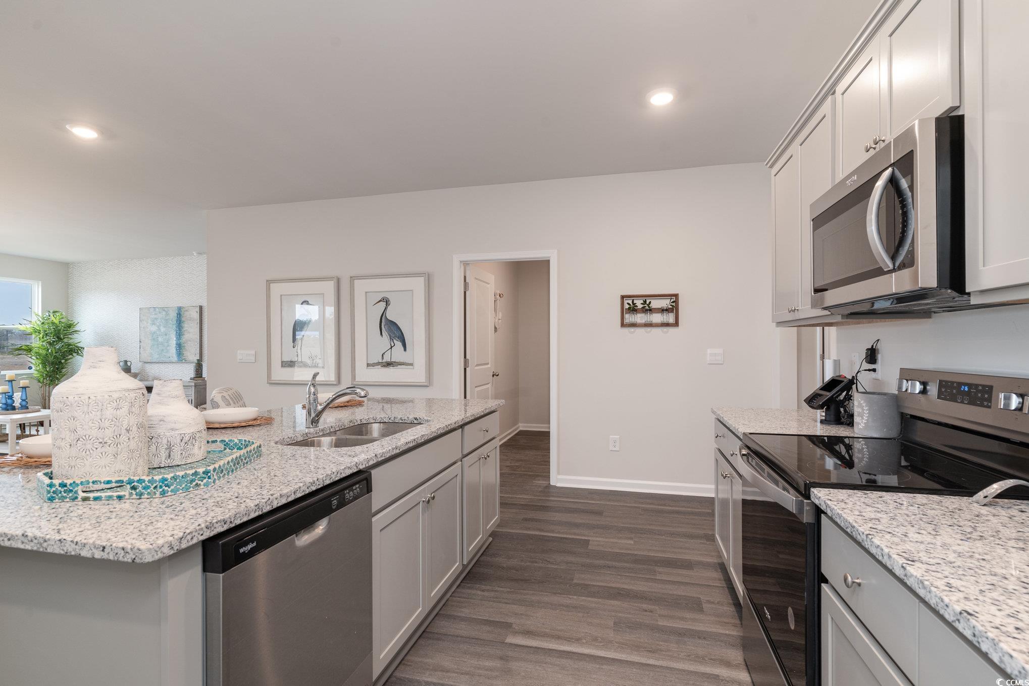 156 Cottage Red Court Conway, SC 29527 - Photo 6 of 37 Kitchen featuring appliances with stainless steel finishes, light stone countertops, dark wood finished floors, recessed lighting, and a kitchen island with sink