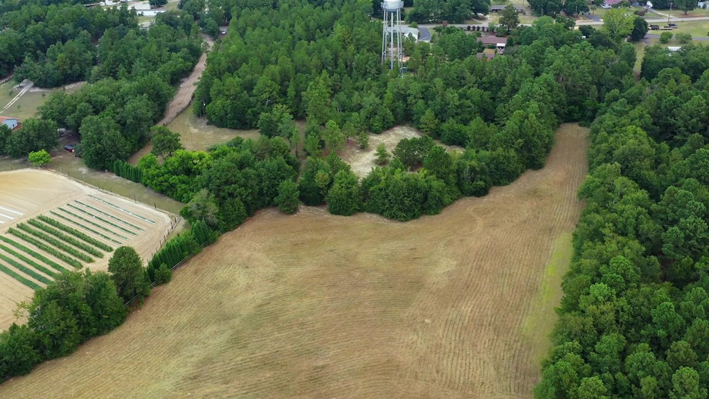 182 New Bridge Road Aiken, SC 29801 - Photo 5 of 18