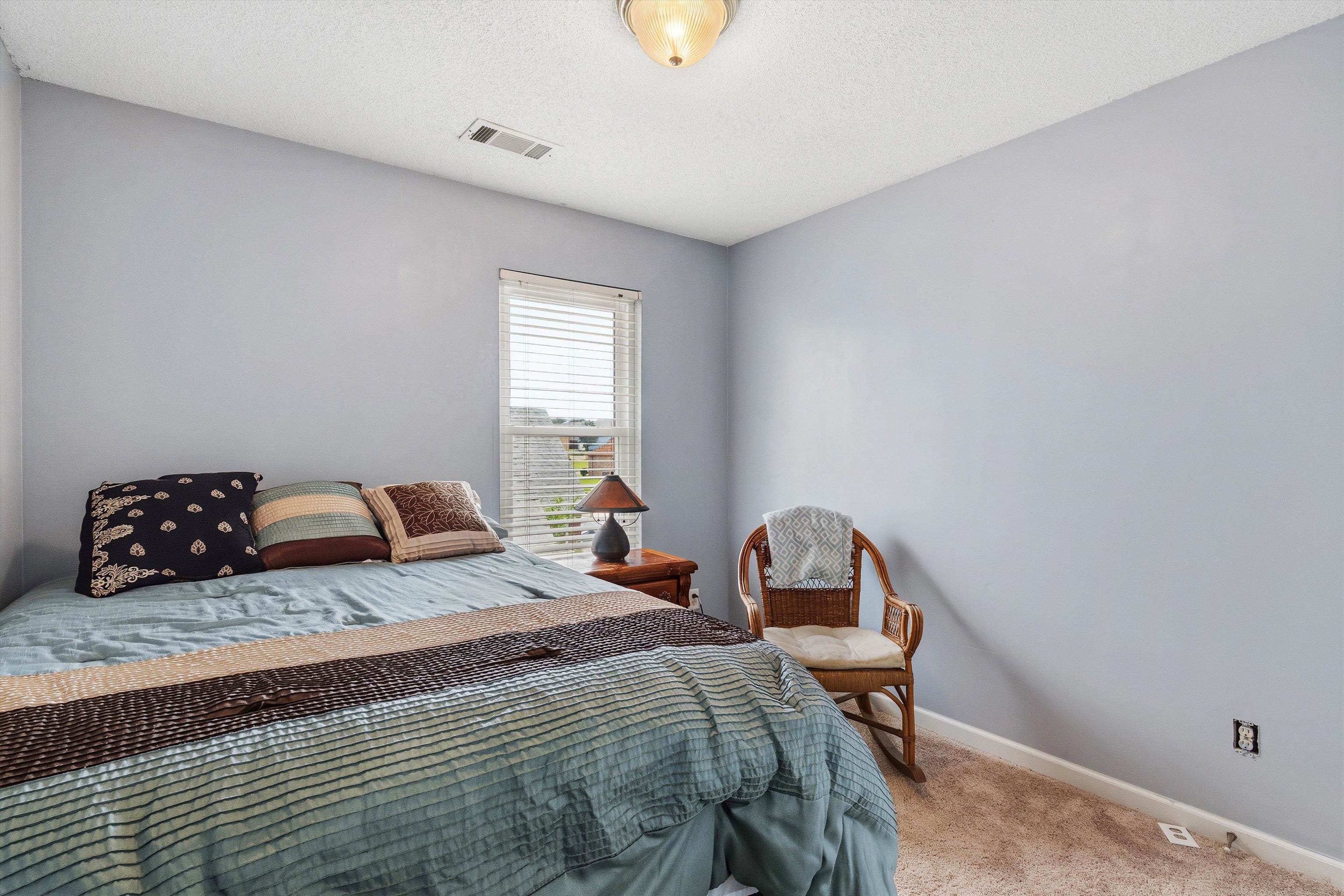 7779 Windy Willow Road Memphis, TN 38125 - Photo 18 of 30 Bedroom featuring light blue walls, a single window with horizontal blinds, textured carpet flooring, and a ceiling-mounted light fixture