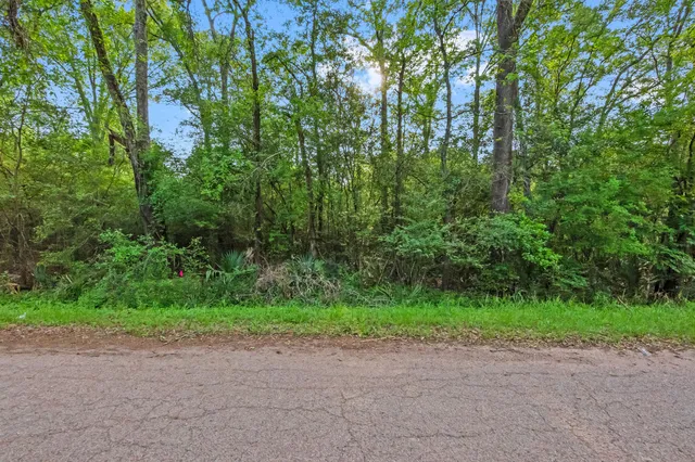 $25,000 | 0 West Essex Drive, Conroe, TX 77302