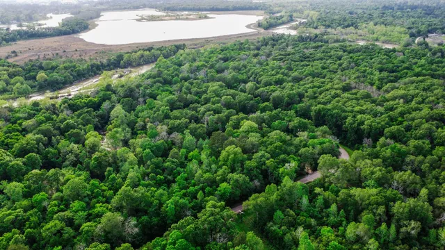 $25,000 | 0 West Essex Drive, Conroe, TX 77302