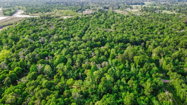 $25,000 | 0 West Essex Drive, Conroe, TX 77302