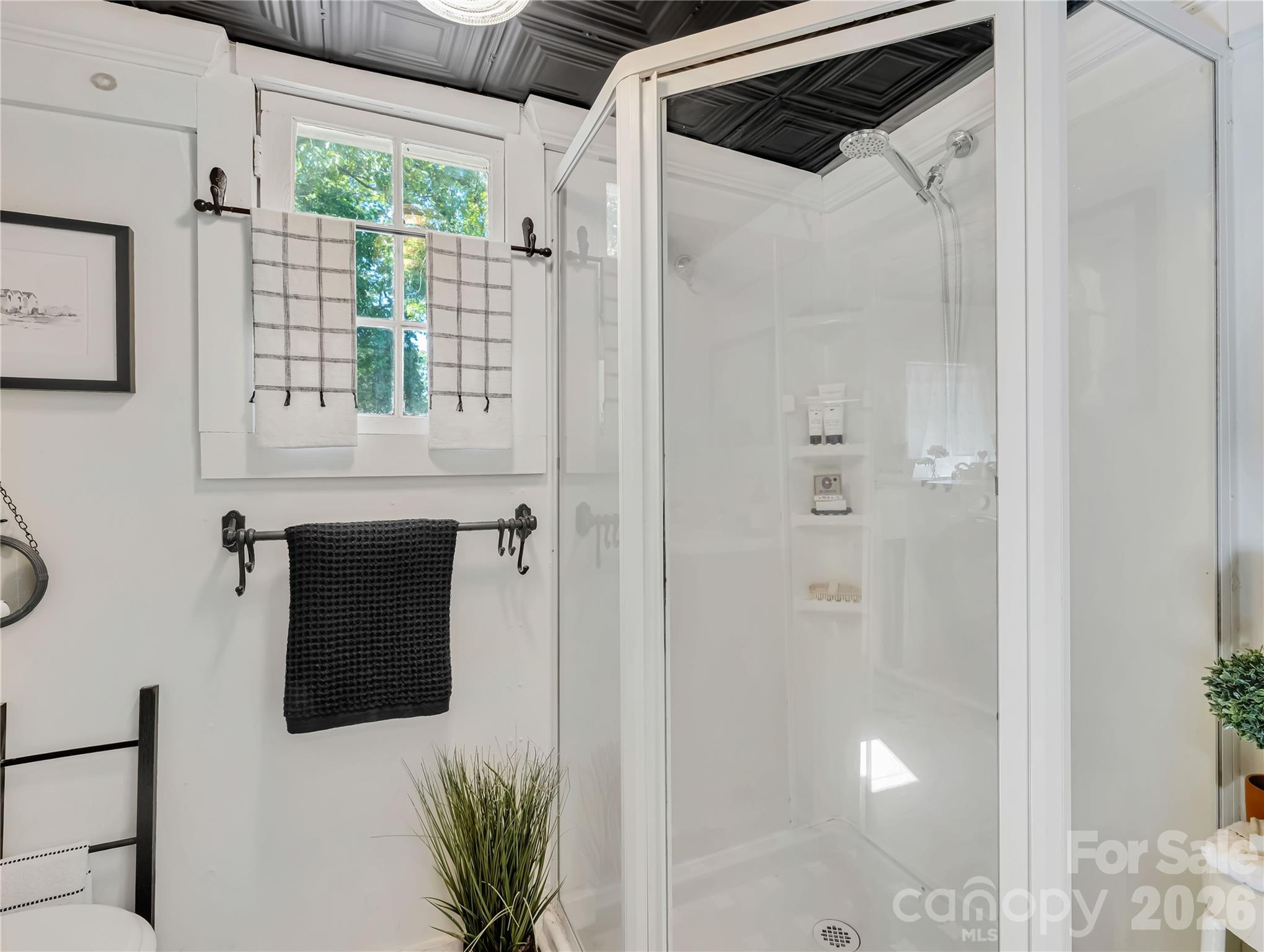 289 Carson Street Tryon, NC 28782 - Photo 30 of 39