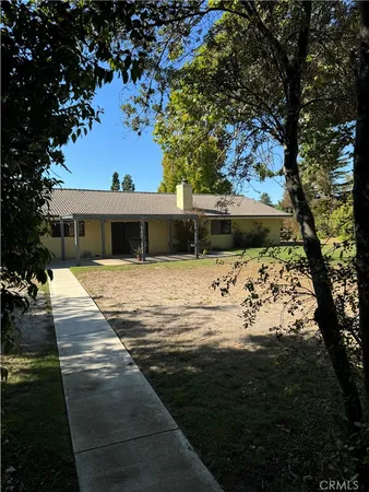 a view of yard with tree