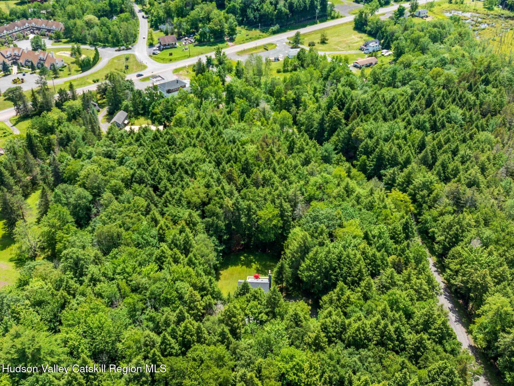 36 Mt Greenery Road Windham, NY 12496 - Photo 57 of 60 a view of a garden with a tree