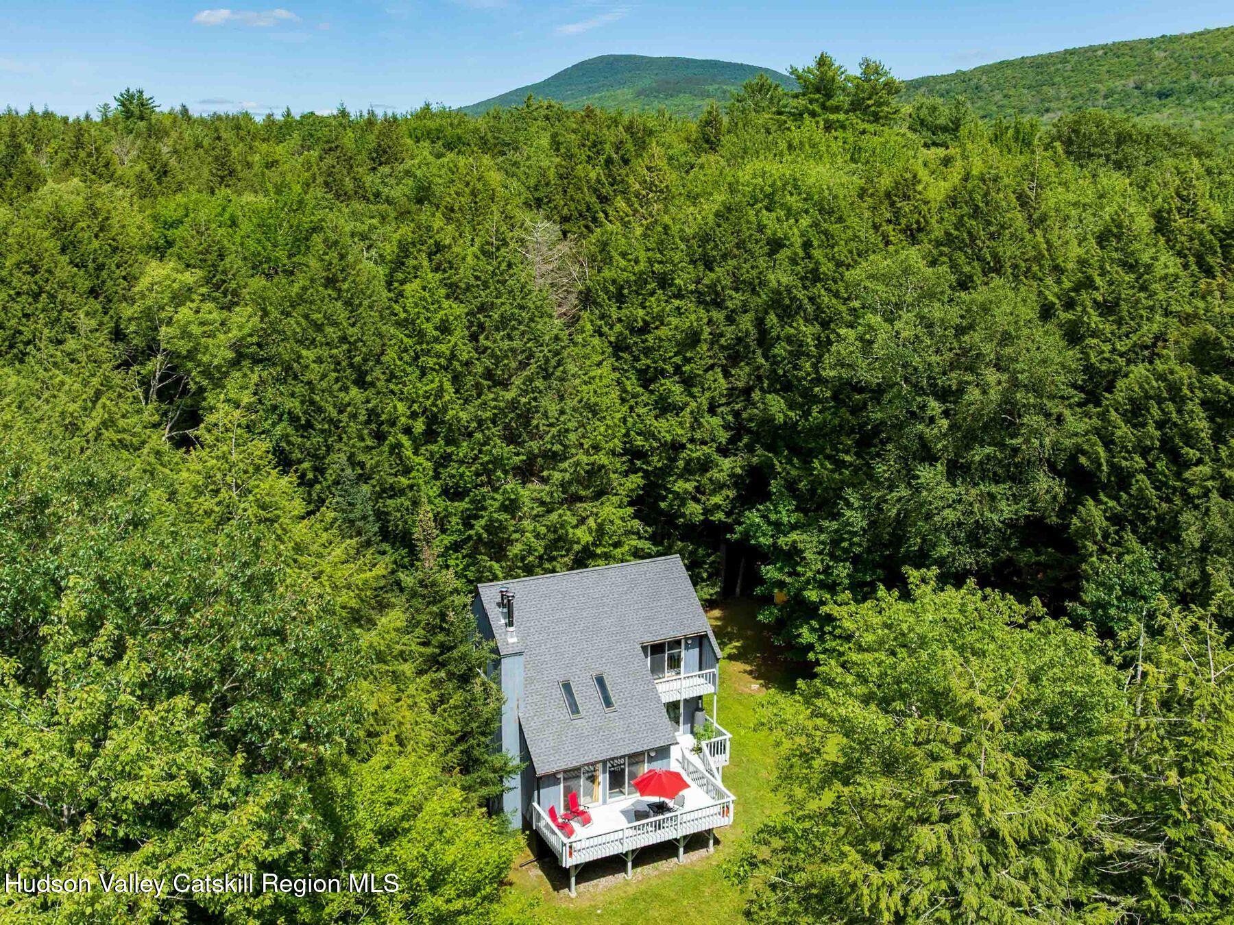 36 Mt Greenery Road Windham, NY 12496 - Photo 6 of 60 an aerial view of a house with a yard