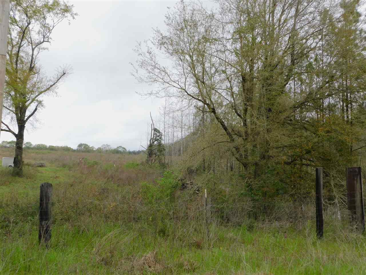 0 Babe Lawrence Road Florala, AL 36442 - Photo 7 of 17 Gallery Image 7