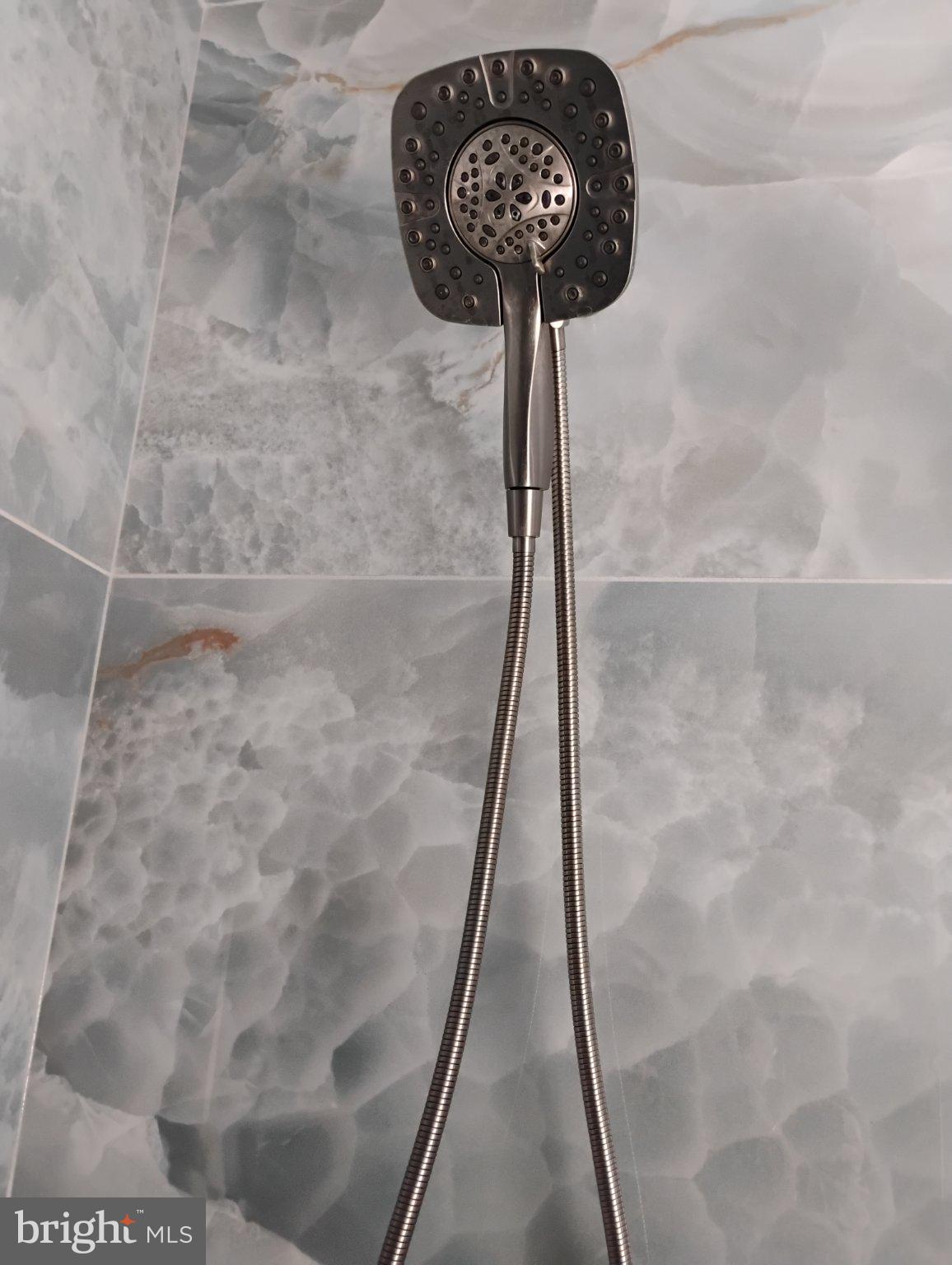 12266 Elk Run Church Road Midland, VA 22728 - Photo 24 of 67 Shower head with hose, and grab bars installed