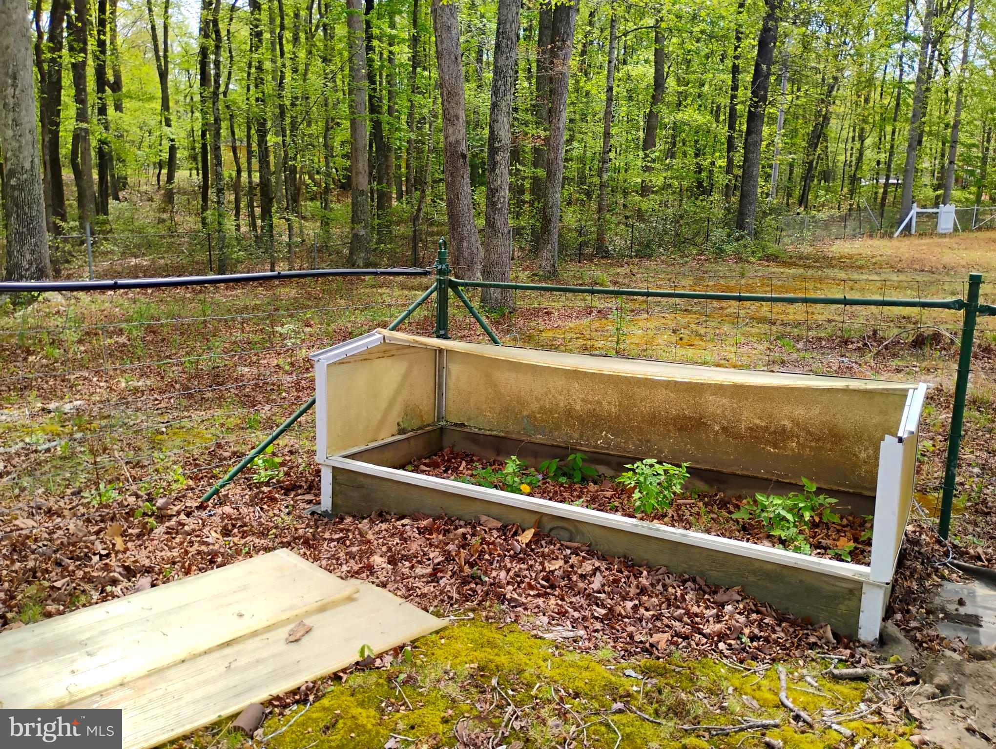 12266 Elk Run Church Road Midland, VA 22728 - Photo 51 of 67 Green house