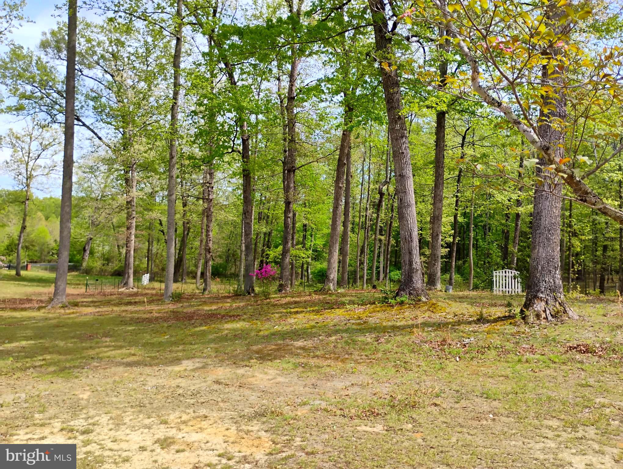 12266 Elk Run Church Road Midland, VA 22728 - Photo 54 of 67 Front looking to the road, gate to neighbors