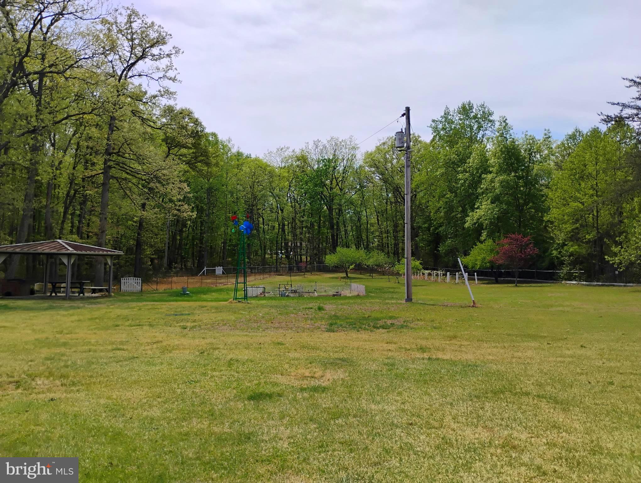 12266 Elk Run Church Road Midland, VA 22728 - Photo 56 of 67 BBQ area, veggie, fruit garden & grape vines