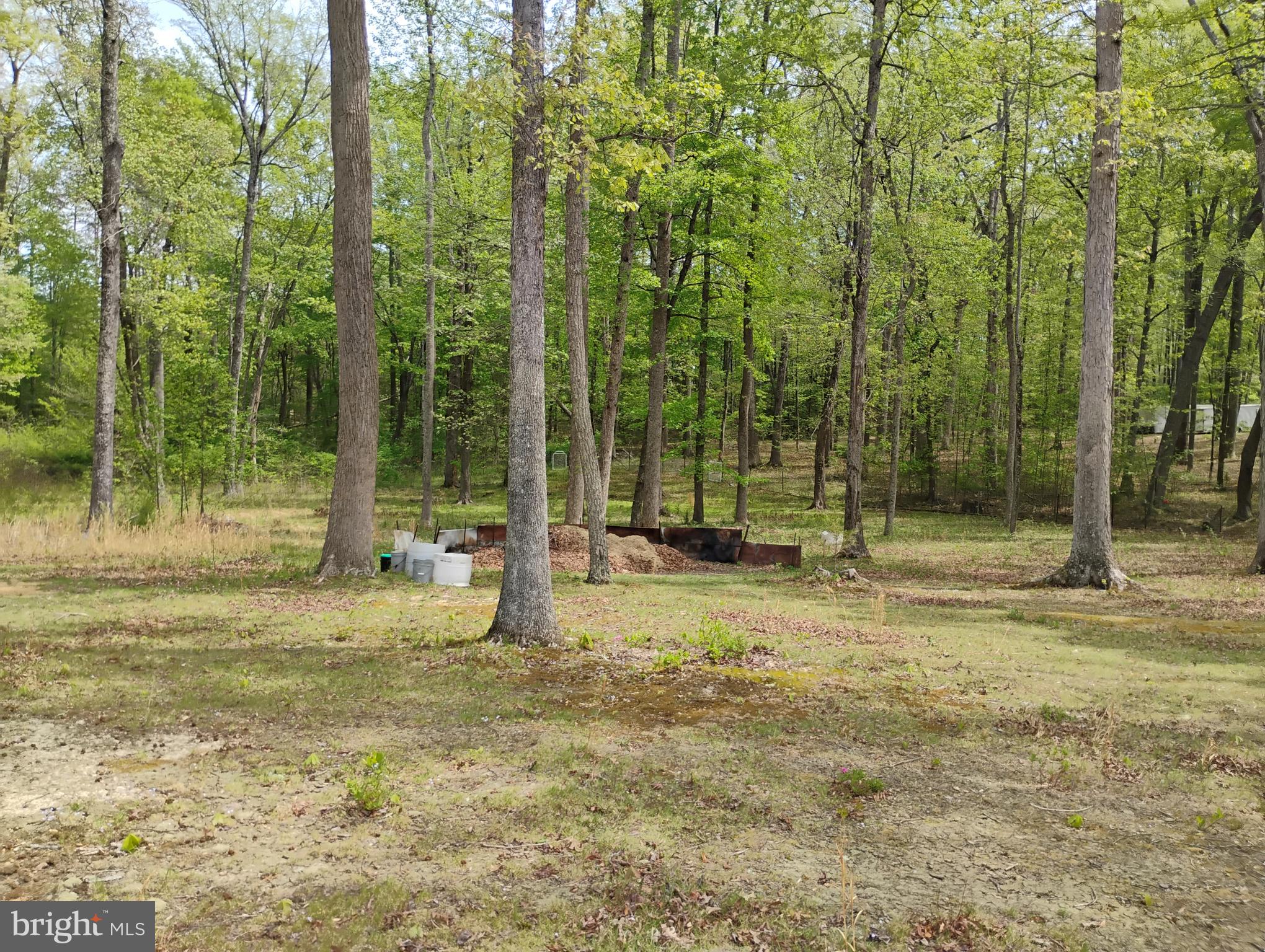 12266 Elk Run Church Road Midland, VA 22728 - Photo 57 of 67 Fire pit