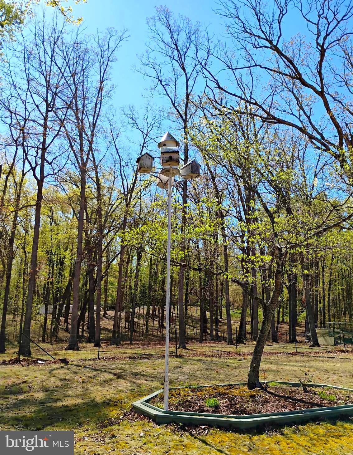 12266 Elk Run Church Road Midland, VA 22728 - Photo 59 of 67 Bird houses