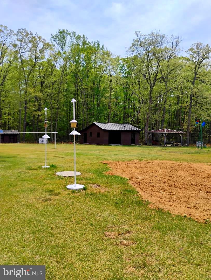 12266 Elk Run Church Road Midland, VA 22728 - Photo 60 of 67 Bird feeders