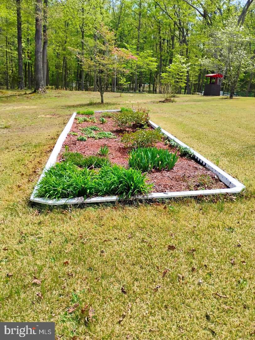 12266 Elk Run Church Road Midland, VA 22728 - Photo 61 of 67 Front garden