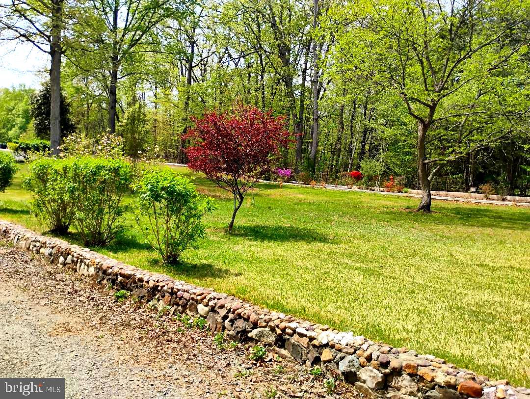 12266 Elk Run Church Road Midland, VA 22728 - Photo 62 of 67 Flowering trees through out the property