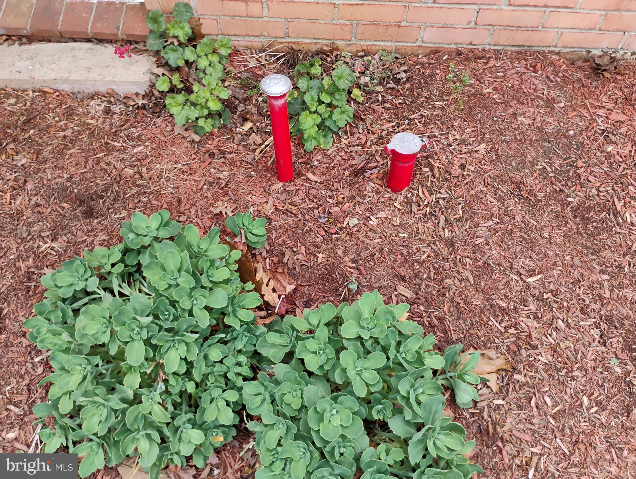 12266 Elk Run Church Road Midland, VA 22728 - Photo 64 of 67 Access for oil