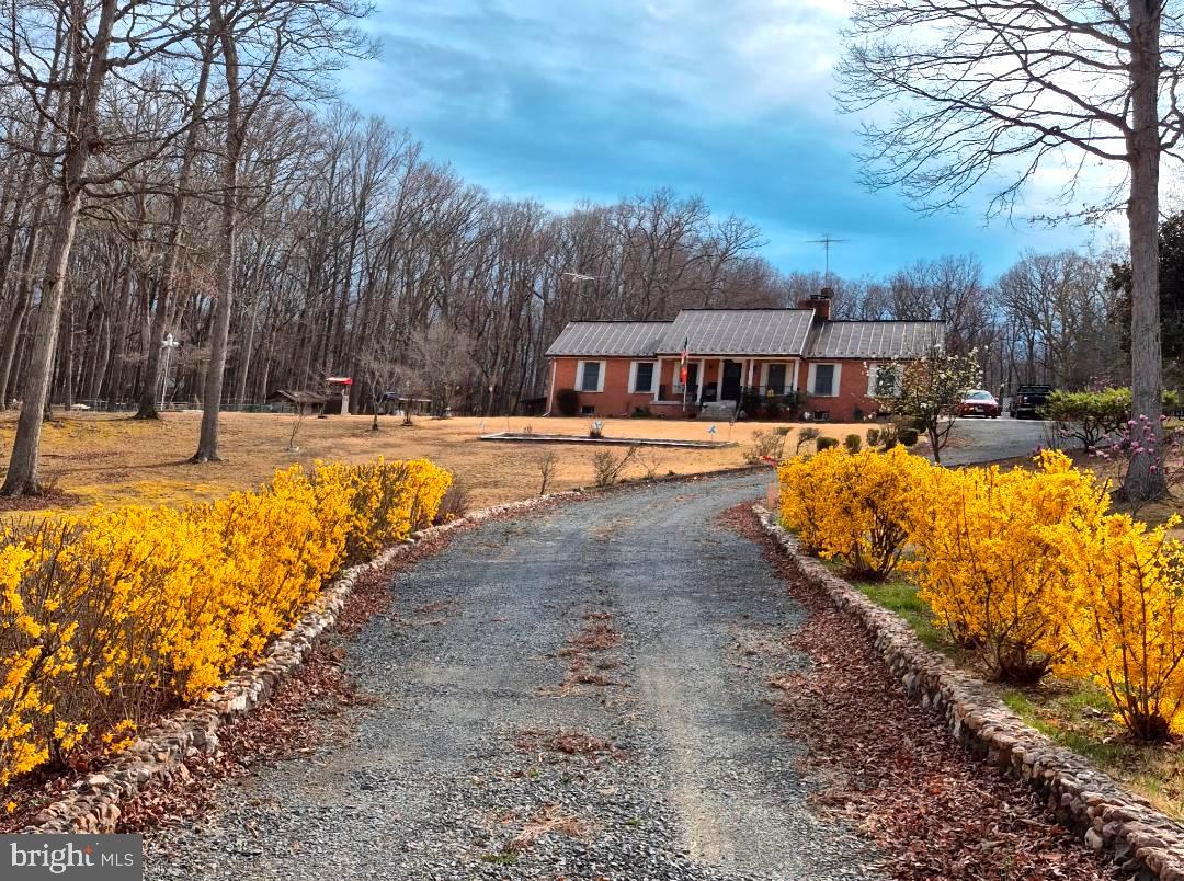 12266 Elk Run Church Road Midland, VA 22728 - Photo 66 of 67 Forsythia line the drive