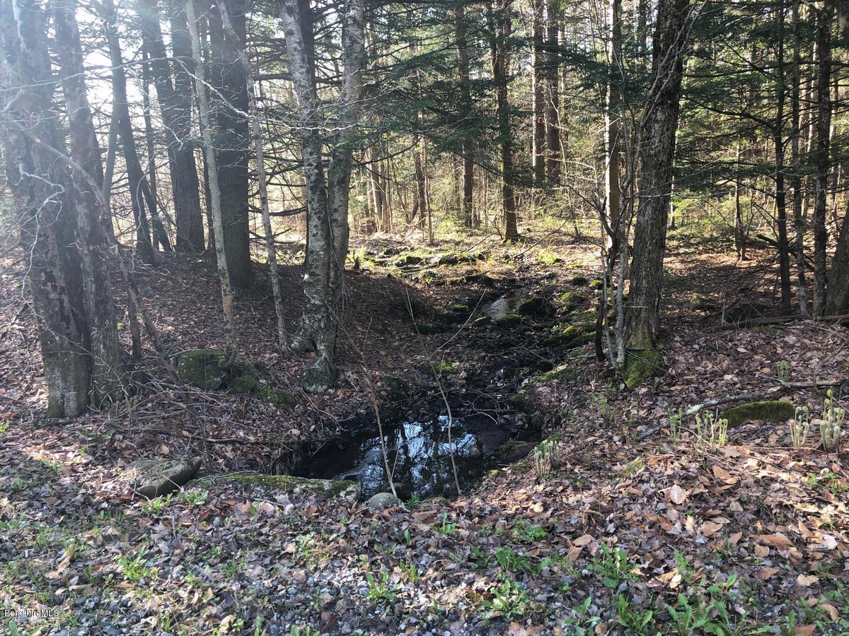 0 Dimmock Road Otis, MA 01253 - Photo 3 of 9 3stream
