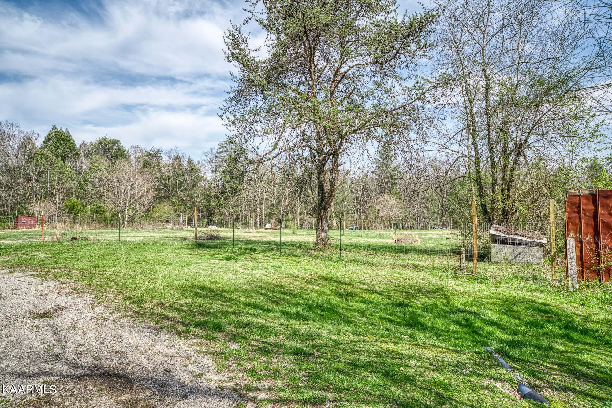 2371 Roslin Road Jamestown, TN 38556 - Photo 26 of 38 a view of a park with large trees