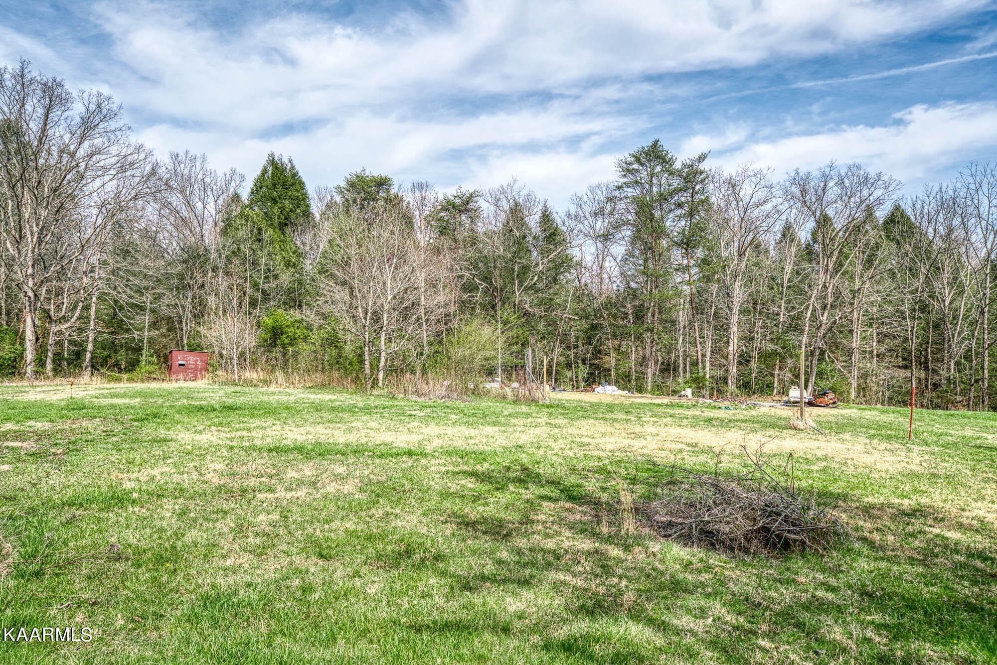 2371 Roslin Road Jamestown, TN 38556 - Photo 29 of 38 a view of a green field with trees in the background