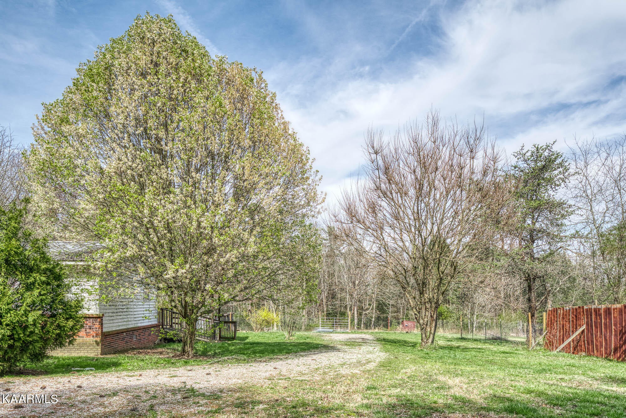 2371 Roslin Road Jamestown, TN 38556 - Photo 8 of 38 a view of a yard with a house in the background