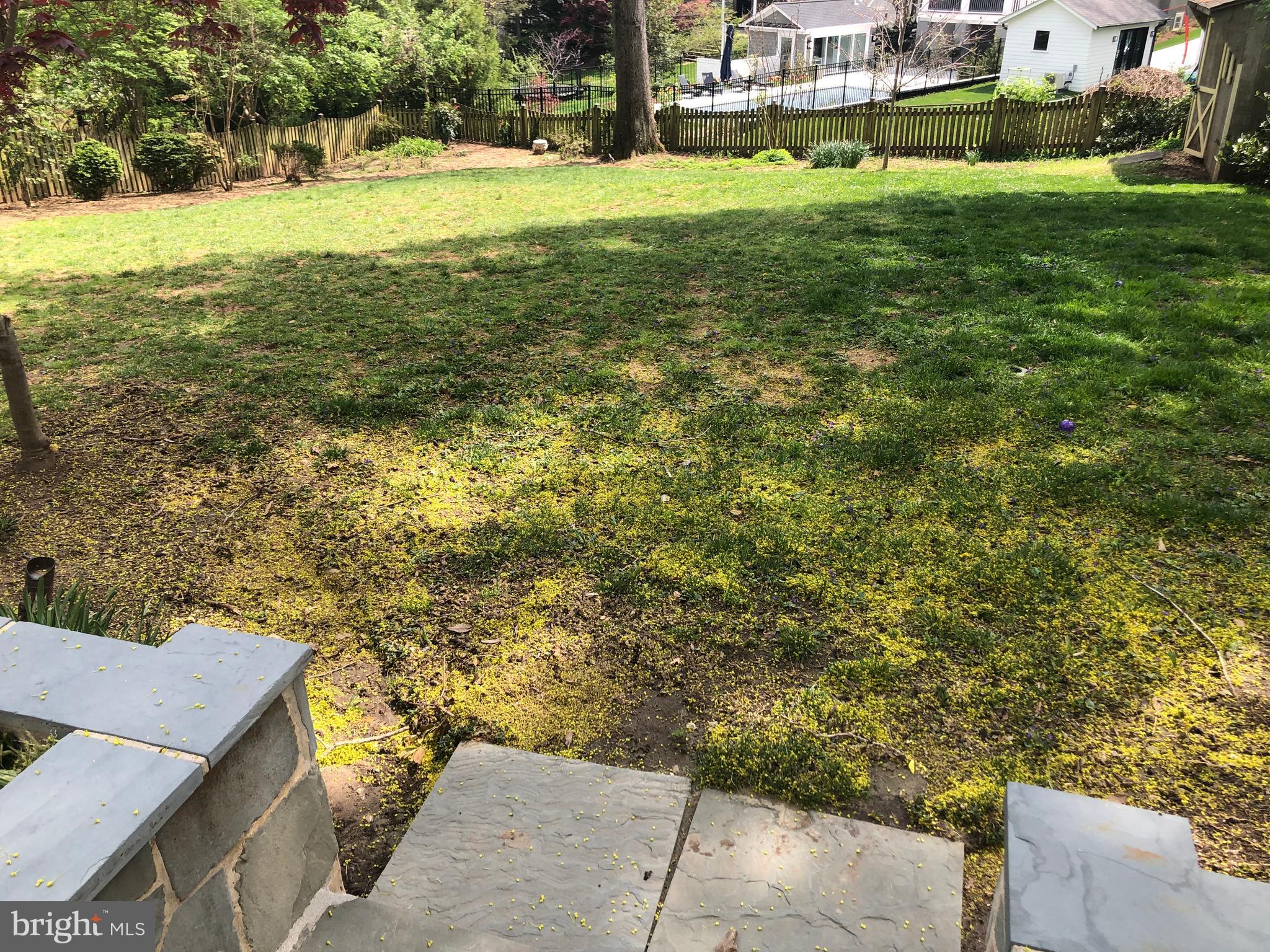 3508 Cummings Lane Chevy Chase, MD 20815 - Photo 19 of 19