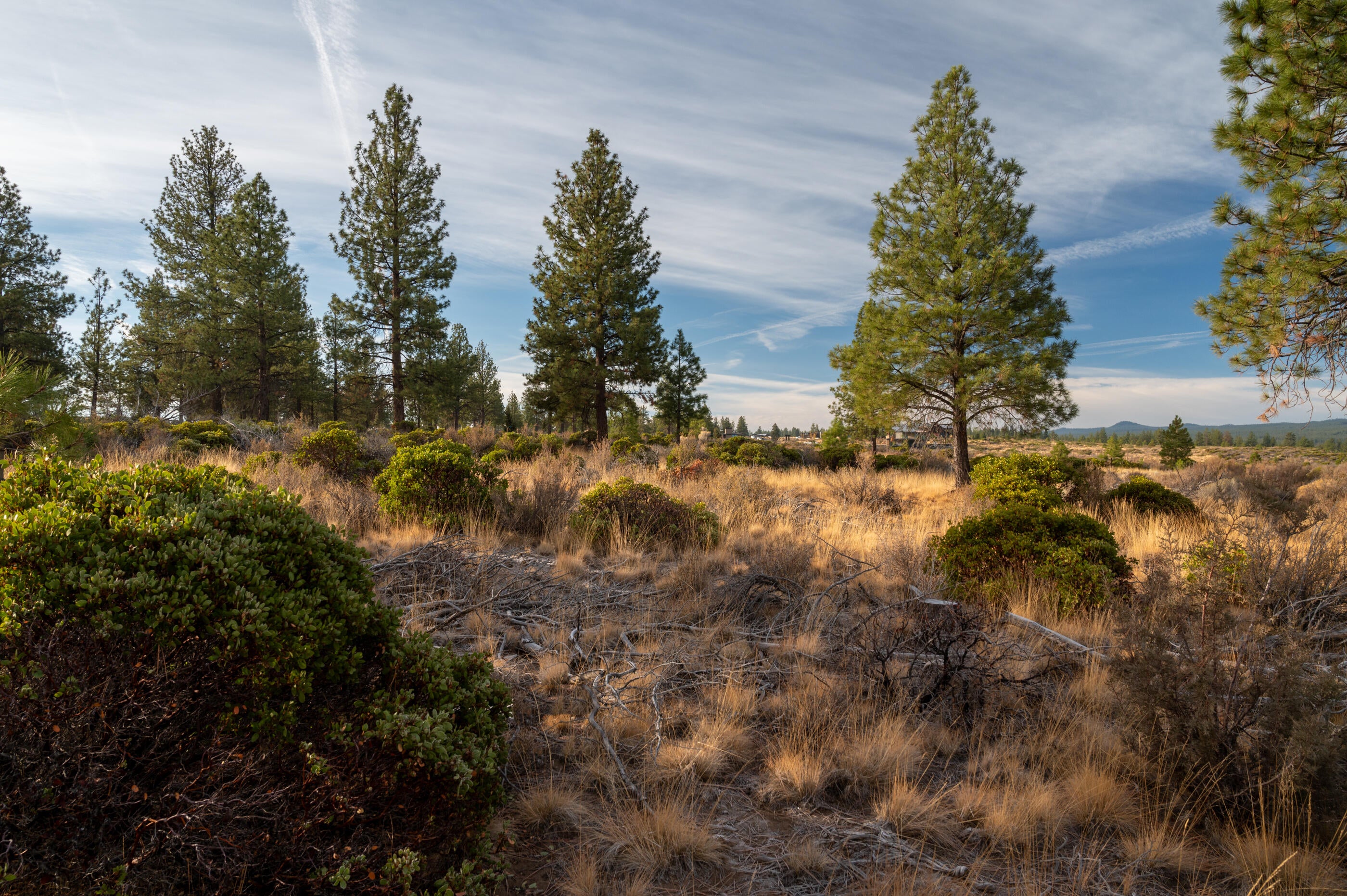 62495 Huntsman Loop Bend, OR 97703 - Photo 11 of 32 11