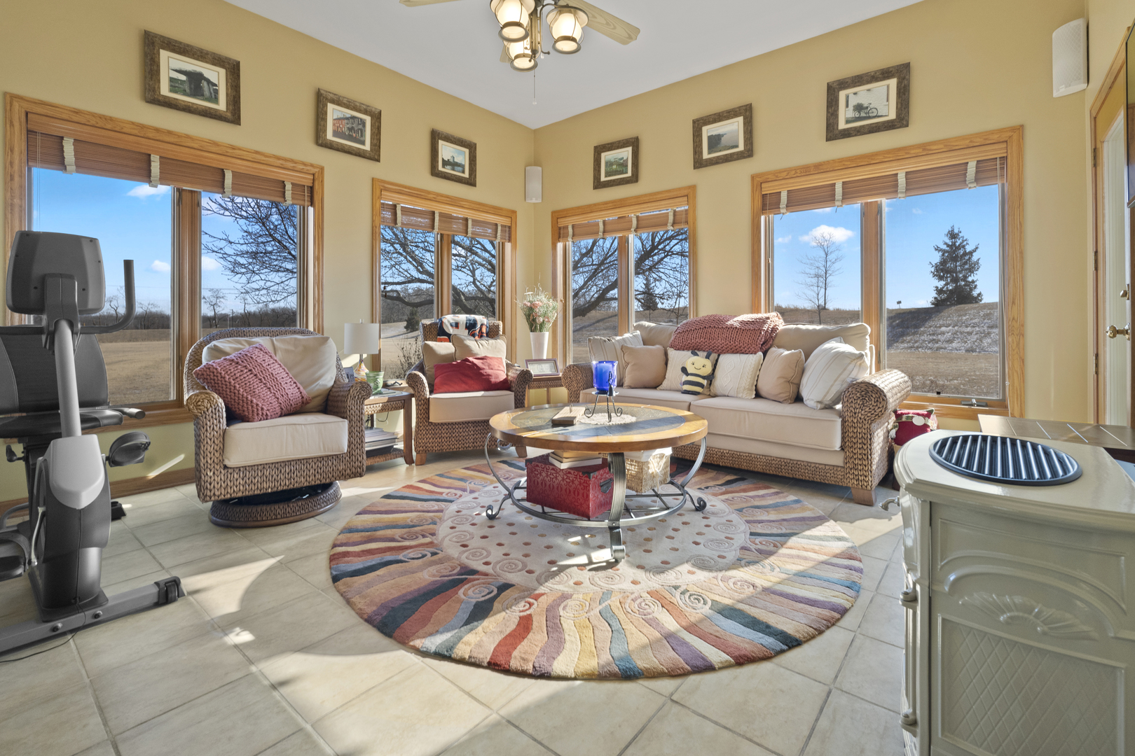8202 Eagle Ridge Spring Grove, IL 60081 - Photo 19 of 44 a living room with furniture or couch and a fireplace