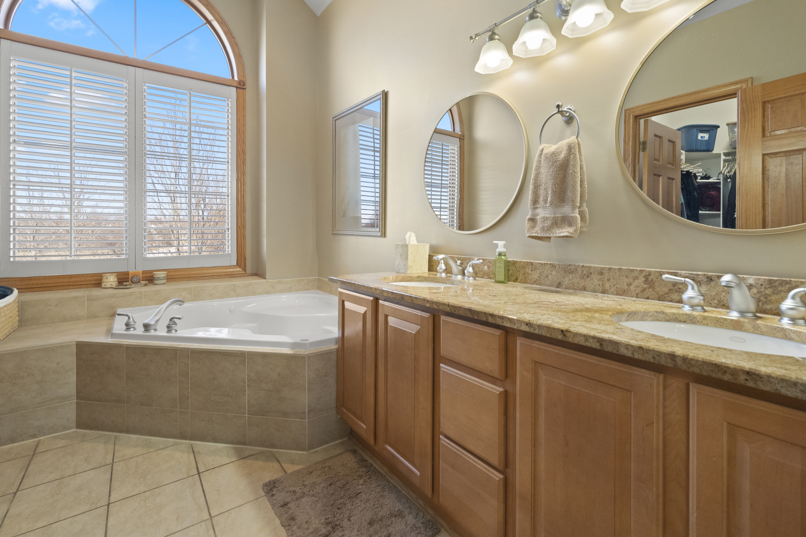 8202 Eagle Ridge Spring Grove, IL 60081 - Photo 24 of 44 a bathroom with a tub a double vanity sink and mirror