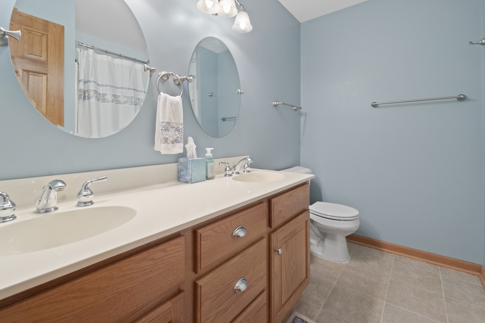 8202 Eagle Ridge Spring Grove, IL 60081 - Photo 34 of 44 a bathroom with a double vanity sink mirror and toilet