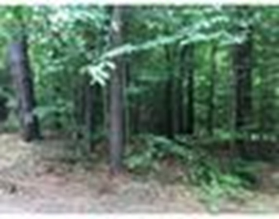 0 Fox Den Road Tolland, MA 01034 - Photo 1 of 1