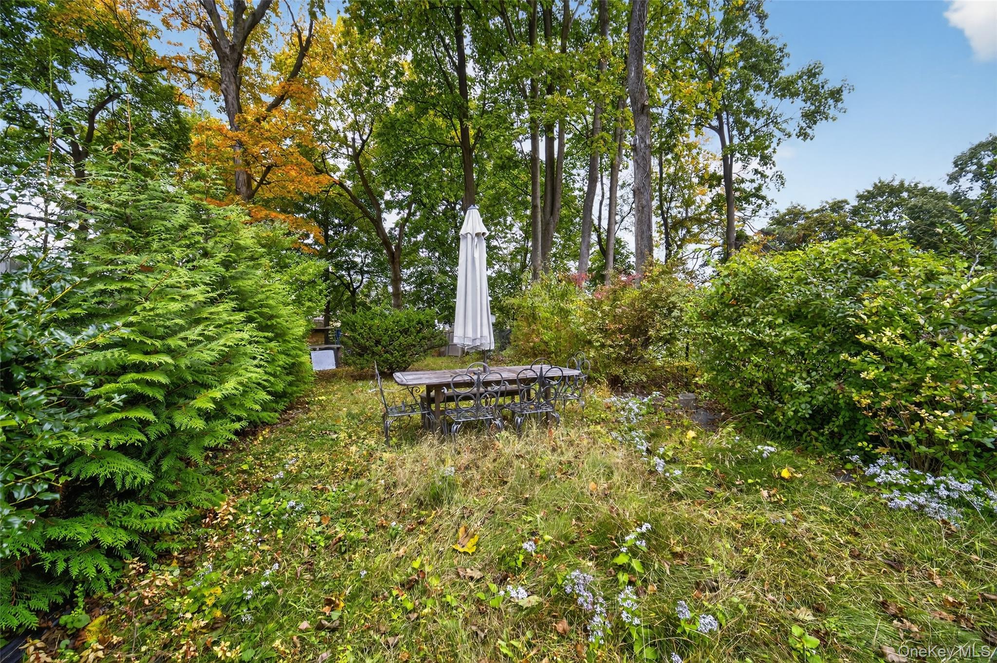 111 South Hamilton Street Poughkeepsie, NY 12601 - Photo 43 of 46 a backyard of a house with table and chairs
