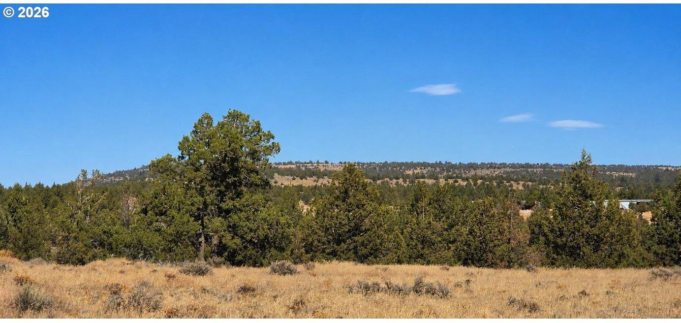 Southeast Iowa Road, Unit TL1202 Prineville, OR 97754 - Photo 9 of 10 Gallery Image 9