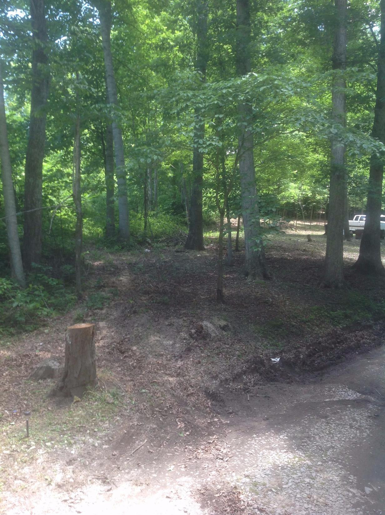 313 D & M Road McKee, KY 40447 - Photo 3 of 11 Photo 3
