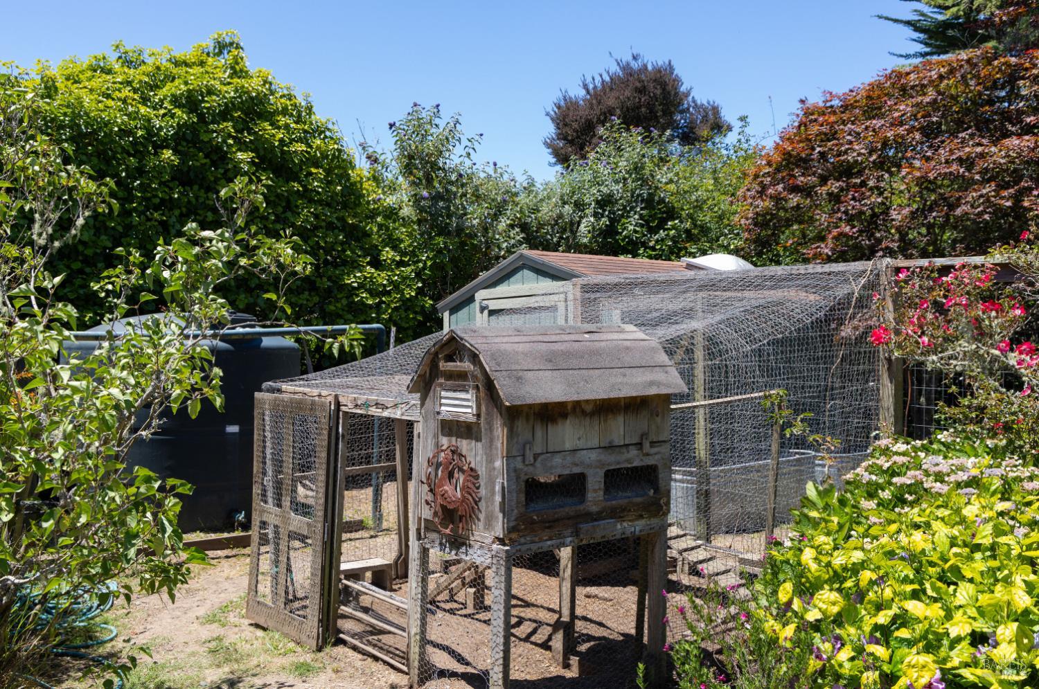 385 Cedar Road Bolinas, CA 94924 - Photo 49 of 70
