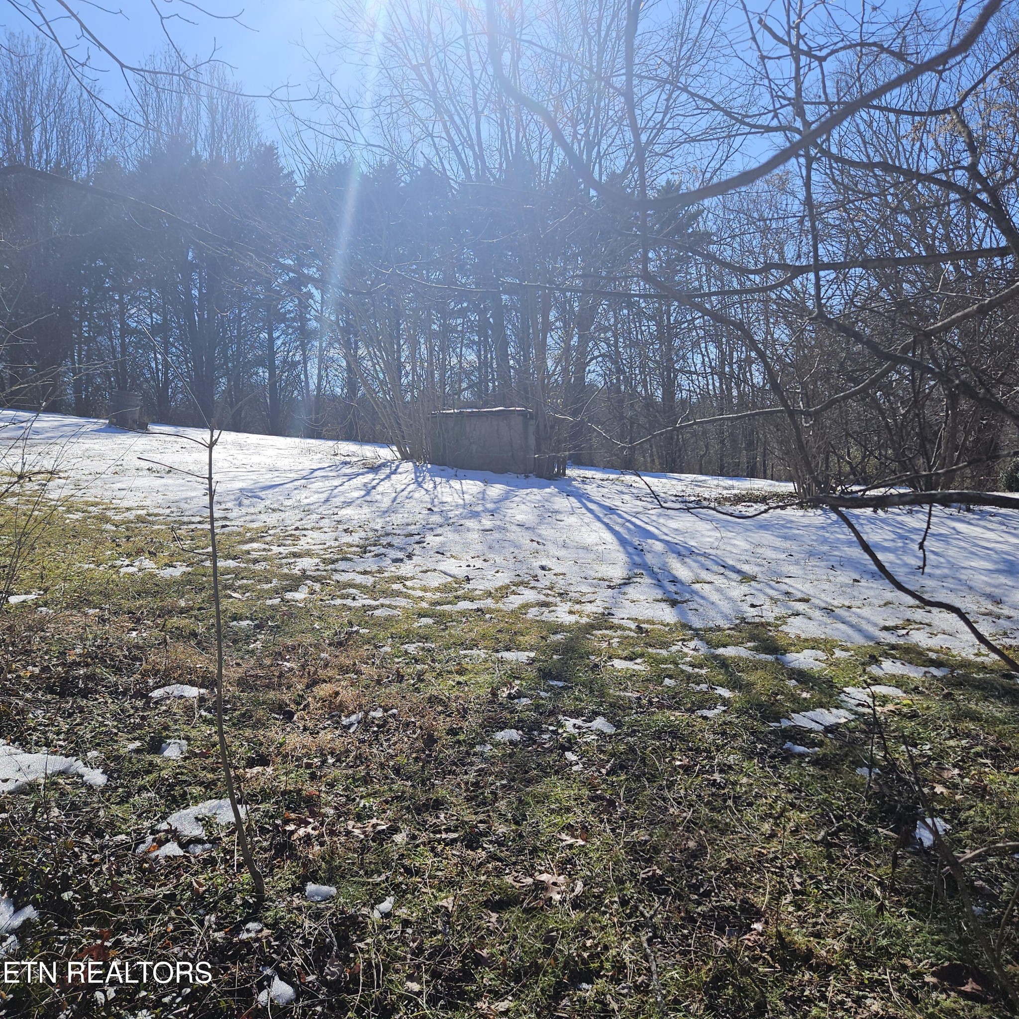 1145 Cloyds Church Road Greenback, TN 37742 - Photo 15 of 37 Gallery Image 15
