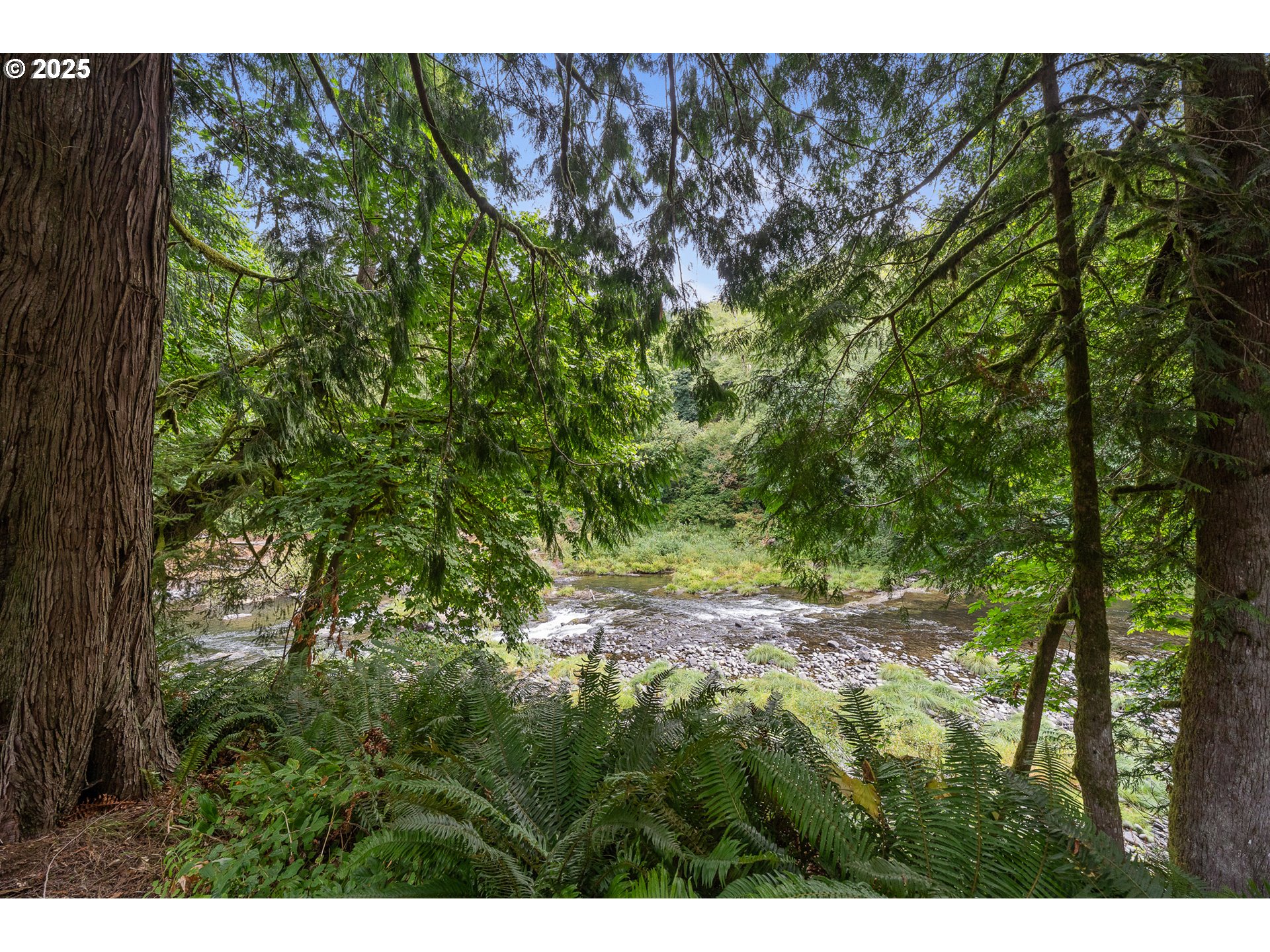 24760 Trask West Tillamook, OR 97141 - Photo 21 of 29 a backyard of a house with lots of green space